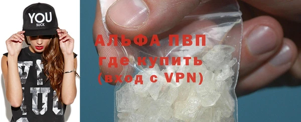 стафф Бородино