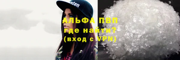 стафф Бородино