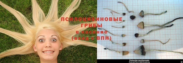 ALPHA-PVP Володарск
