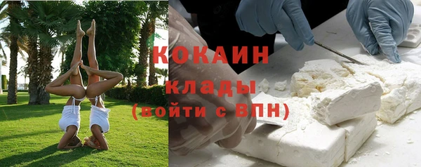 стафф Бородино