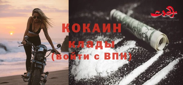 стафф Бородино