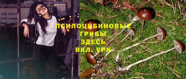 ешки Верея