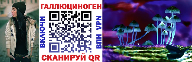 наркотики Дегтярск Галлюциногенные грибы Psilocybine cubensis